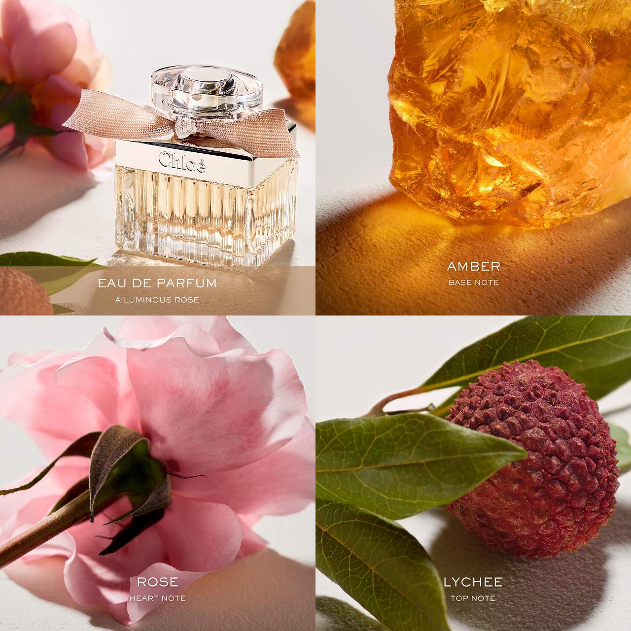 Chloé - Chloé Eau de Parfum con rosa y ámbar - Imagen 6