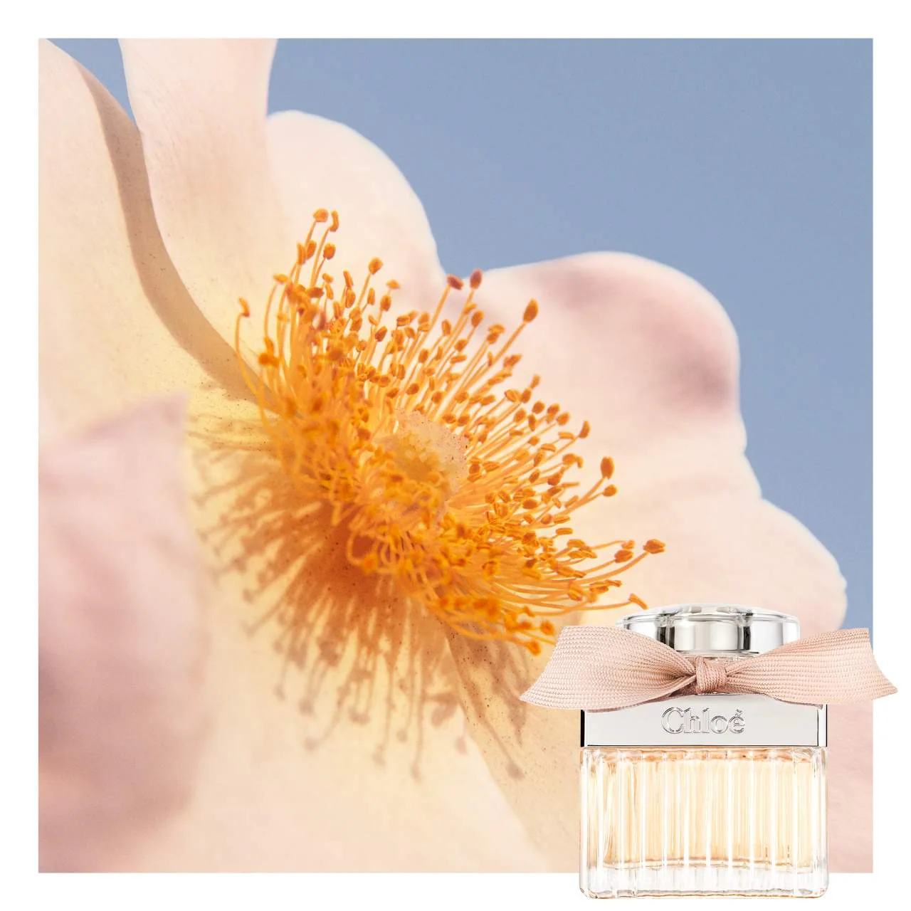 Chloé - Chloé Eau de Parfum con rosa y ámbar - Imagen 4