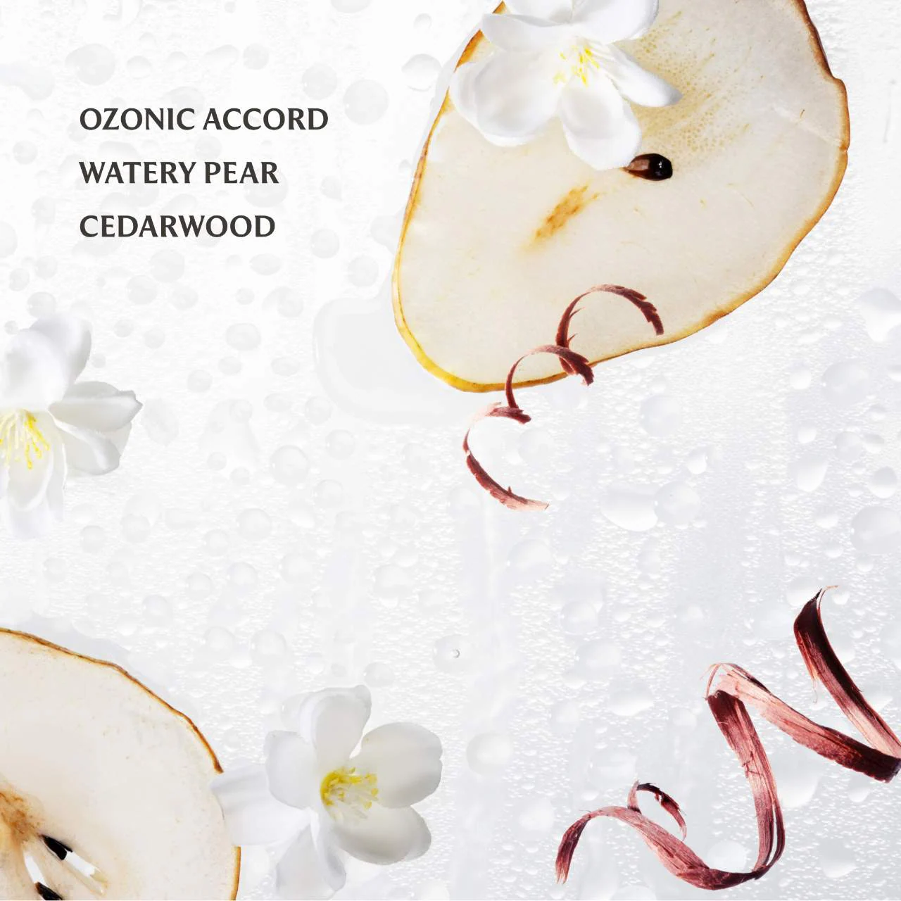 Touchland - Desinfectante de manos hidratante Power Mist - Imagen 30