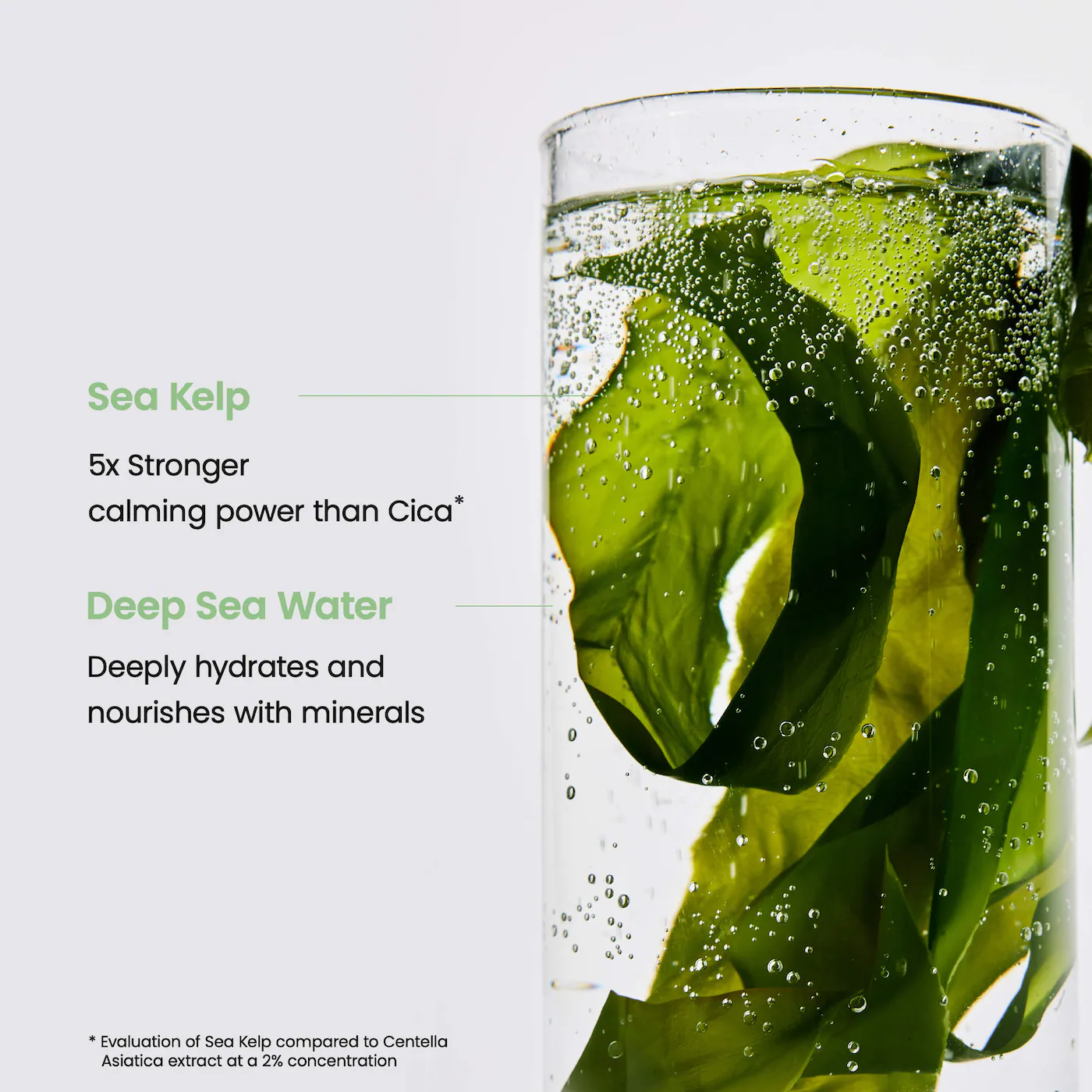 Biodanza - Mascarilla profunda de colágeno biológico para minimizar los poros y reafirmar la piel. - Imagen 15